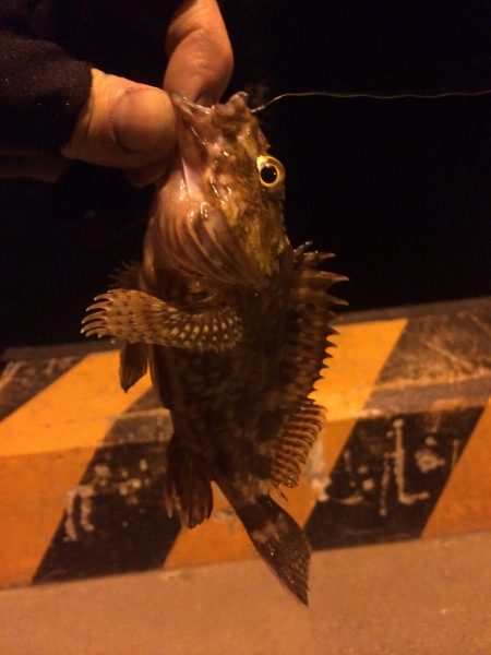 爆風ガシリング