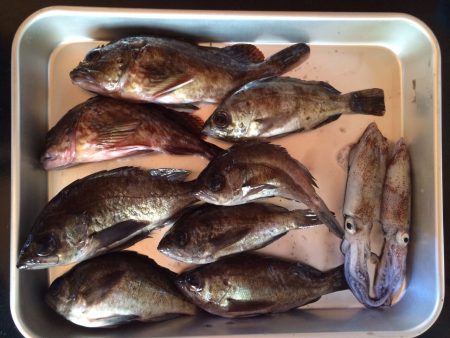 ライトゲーマー