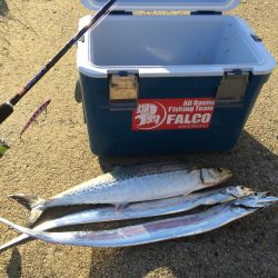 マイポイントで朝練6連チャン