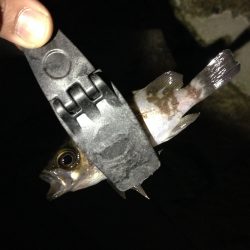 釣り納めっス！