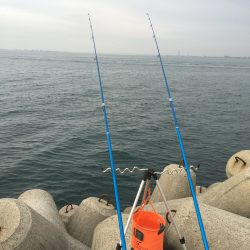 カレイ狙いvol.1