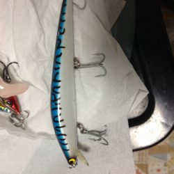 ミノーで初フィッシュ！