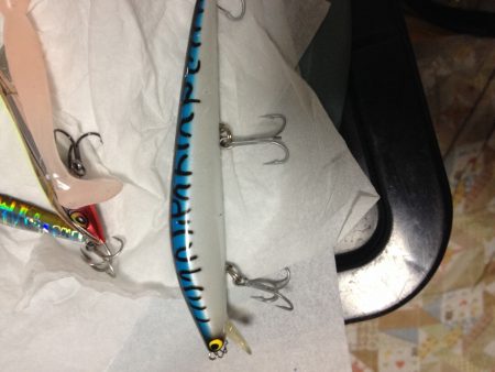 ミノーで初フィッシュ！