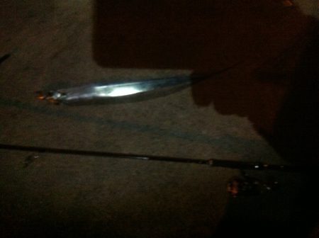 シーバスのはずが…