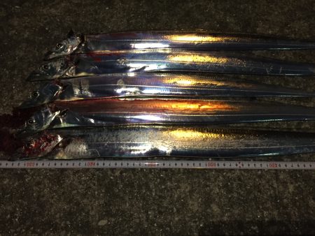 朝練から夕練に＼(^o^)／