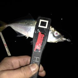 寒い夜でも釣果は熱い〜*\\(^o^)/*