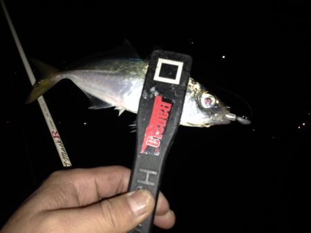 寒い夜でも釣果は熱い〜*\\(^o^)/*…