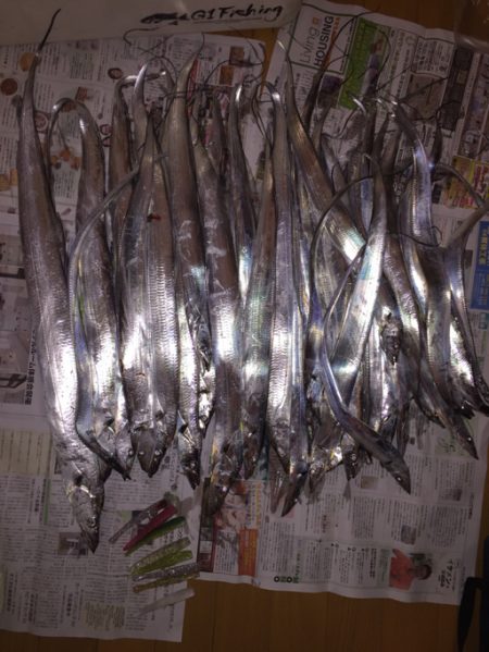 久しぶりの数釣り