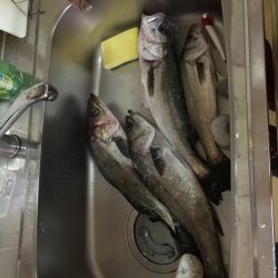 久しぶりの長時間