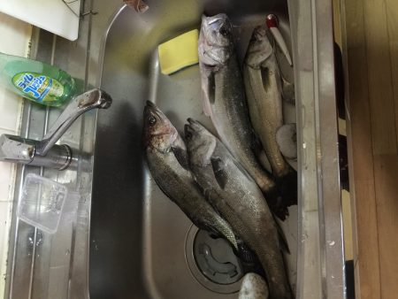 久しぶりの長時間