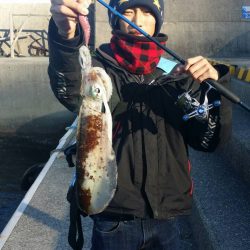 久しぶりのエギング？