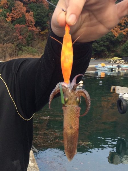 慰安旅行中の釣行