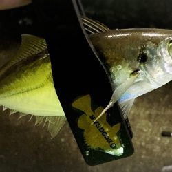 型がだんだんと…