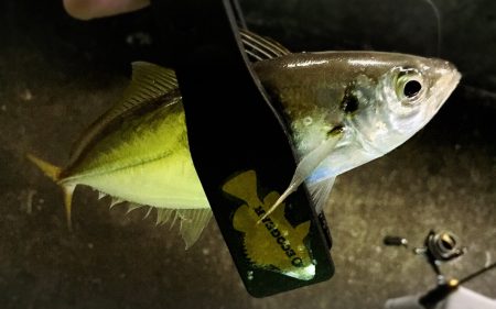 型がだんだんと…