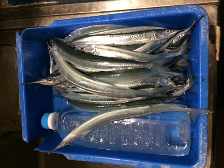 午後から陽が差してきました