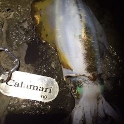 年内キロUP達成