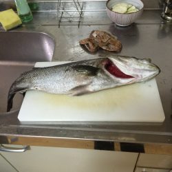 サヨリパターン終盤