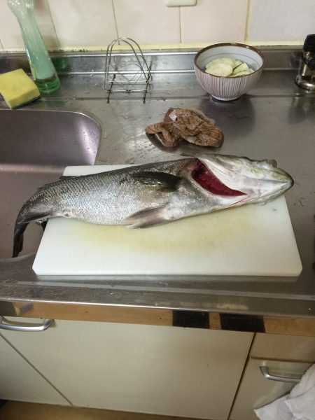 サヨリパターン終盤