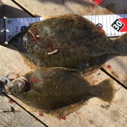 あたりが渋く。