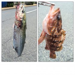 マイポイントで朝練