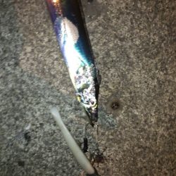 今日はパールホワイトが強し