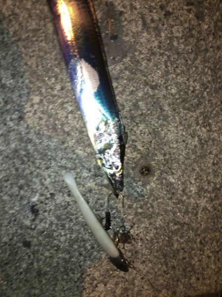 今日はパールホワイトが強し