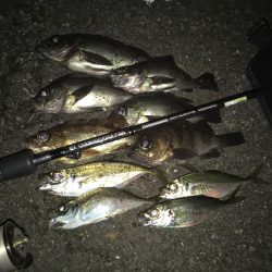 強風〜？ドリフトで連発！