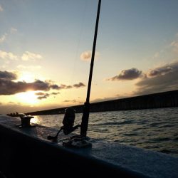 ルアーショート便でガッシー