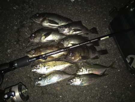 強風〜？ドリフトで連発！