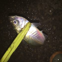 たまには違う場所で(^｡^)