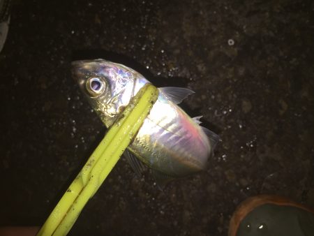 たまには違う場所で(^｡^)