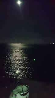 moonパワーむなしく