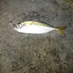 そろそろ終わりかな？