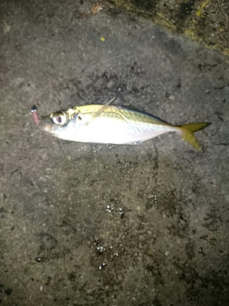 そろそろ終わりかな？