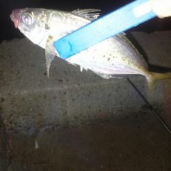 サミシイけどウレシイ