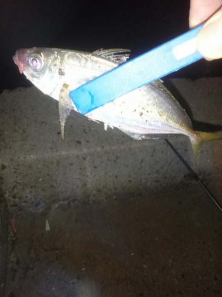 サミシイけどウレシイ