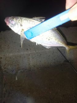 サミシイけどウレシイ