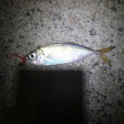 まだまだ行ける？