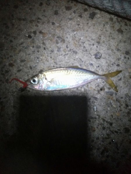 まだまだ行ける？