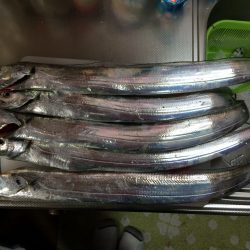 マイポイントで朝練