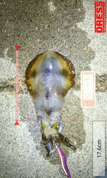 ボウズ覚悟からの・・・釣れた!