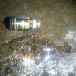 最高の釣り日和