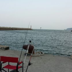 ちょい投げでキス！