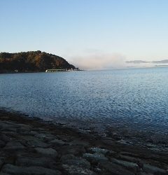 ジグロック試し釣り