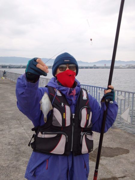 貝塚人工島で小さなカレイ