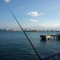 高砂埋立地 西風対応ポイントでプリプリのアジ!