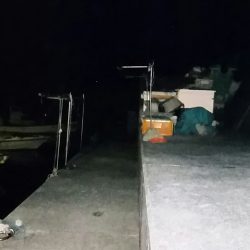 まだ釣れました！