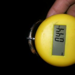 雨の中、アオリイカGET！