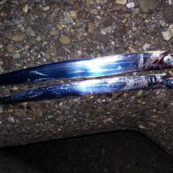 まだ、いてた！