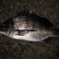 心地よい引きの正体は